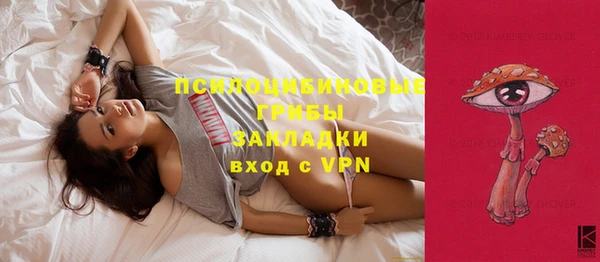 spice Бугульма
