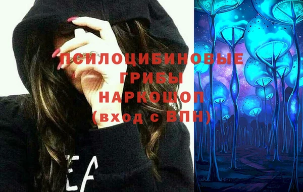 PSILOCYBIN Верея